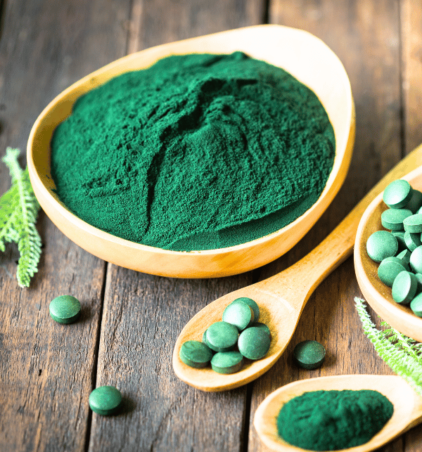 spirulina powder of colossusexim.com