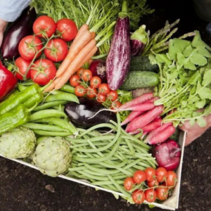 Organic market strategies for sustainable business growth